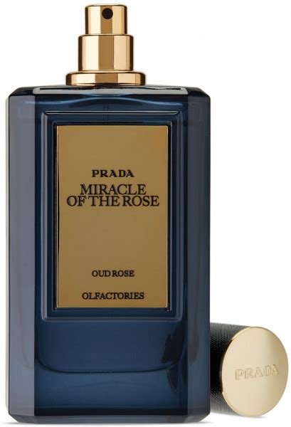 unisex prada cologne|prada miracle of the rose.